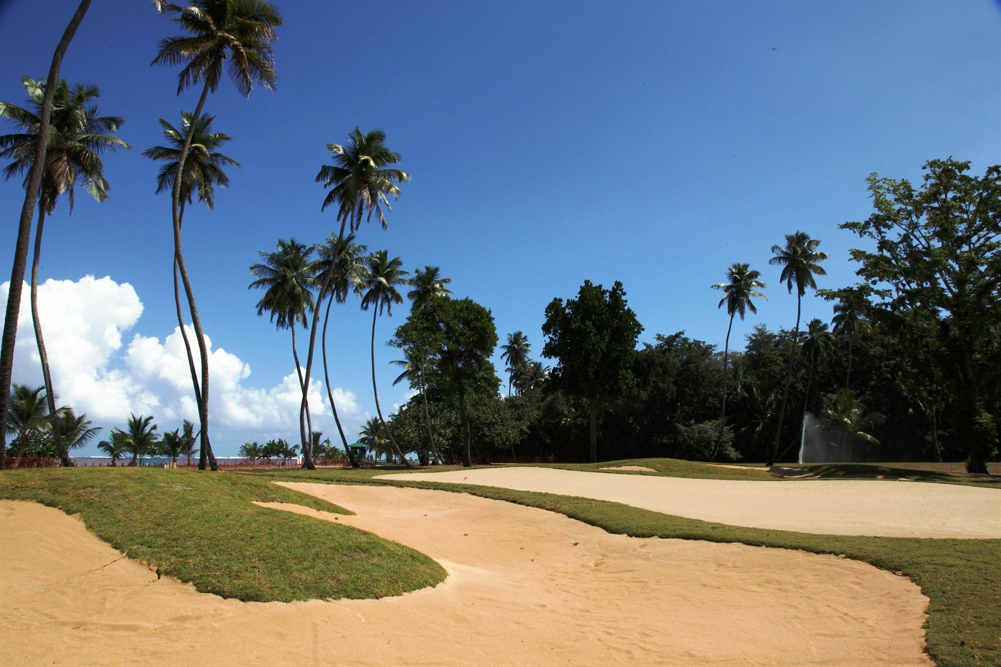 Plantation Resort Residences At Dorado Beach Exterior foto